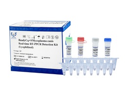 ReadyCq+®Mycoplasma canis Real-time RT-PPCR Detection Kit (Lyophilized)