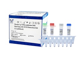 ReadyCq+®Mycoplasma felis Real-time RT-PCR Detection Kit (Lyophilized)