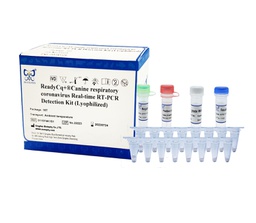 ReadyCq+®Canine respiratory coronavirus Real-time RT-PCR Detection Kit (Lyophilized)