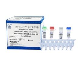 ReadyCq+®Canine parvovirus/Canine coronavirus Real-time RT-PCR Detection Kit (Lyophilized)