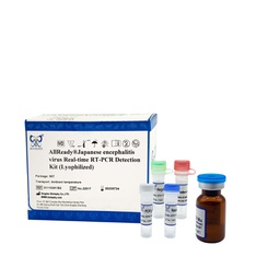 AllReady®乙型脑炎病毒荧光RT-PCR检测试剂盒（冻干）