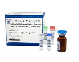 [011023K1B2] AllReady®乙型流感病毒荧光RT-PCR检测试剂盒（冻干）