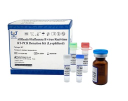 [011023K1B2] AllReady®Influenza B virus Real-time RT-PCR Detection Kit (Lyophilized)
