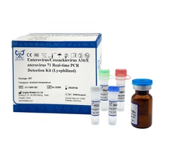 [011024K1B2] AllReady®肠道病毒荧光RT-PCR检测试剂盒（冻干）
