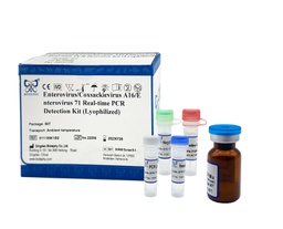[011024K1B2] AllReady®Enterovirus Real-time RT-PCR Detection Kit (Lyophilized)