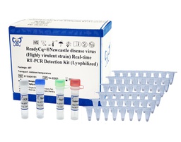 ReadyCq+®Newcastle disease virus (Highly virulent strain) Real-time RT-PCR Detection Kit (Lyophilized)