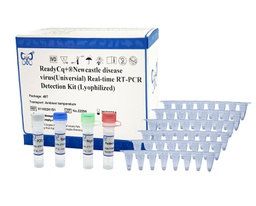 ReadyCq+®Newcastle disease virus(Universal) Real-time RT-PCR Detection Kit (Lyophilized)