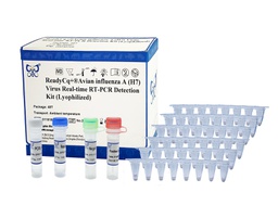 ReadyCq+®Avian influenza A (H7) Virus Real-time RT-PCR Detection Kit (Lyophilized)