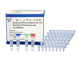 ReadyCq+®Fowl aviadenovirus Real-time PCR Detection Kit (Lyophilized)