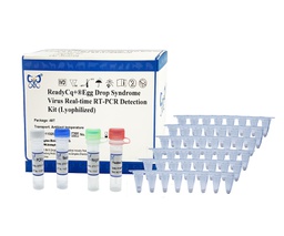 ReadyCq+®Tembusu virus Real-time RT-PCR Detection Kit (Lyophilized)