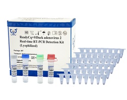 ReadyCq+®Duck adenovirus 2 Real-time RT-PCR Detection Kit (Lyophilized)