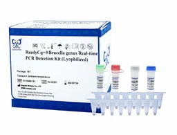 ReadyCq+®布鲁氏菌属荧光PCR检测试剂盒（冻干）