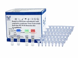 ReadyCq+®Porcine reproductive and respiratory syndrome virus (Universal) Real-time RT-PCR Detection Kit (Lyophilized)