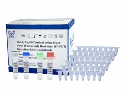 ReadyCq+®Classical swine fever virus (Universal) Real-time RT-PCR Detection Kit (Lyophilized)