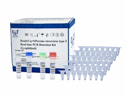 ReadyCq+®Porcine circovirus type 2 Real-time PCR Detection Kit (Lyophilized)