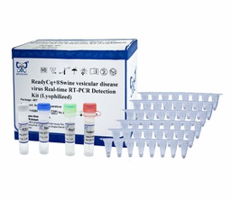 ReadyCq+®猪水泡病病毒荧光RT-PCR检测试剂盒（冻干）