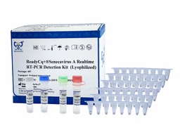 ReadyCq+®A型塞内卡病毒荧光RT-PCR检测试剂盒（冻干）