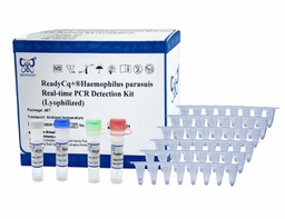 ReadyCq+®副猪嗜血杆菌荧光PCR检测试剂盒（冻干）