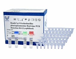 ReadyCq+®Actinobacillus pleuropneumoniae Real-time PCR Detection Kit (Lyophilized)