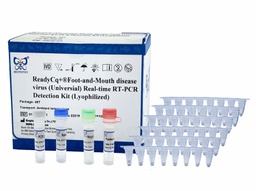 ReadyCq+®Foot-and-Mouth disease virus (Universal) Real-time RT-PCR Detection Kit (Lyophilized)