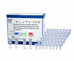 ReadyCq+®Porcine epidemic diarrhea virus/Transmissible gastroenteritis virus Duplex Real-time RT-PCR Detection Kit (Lyophilized)