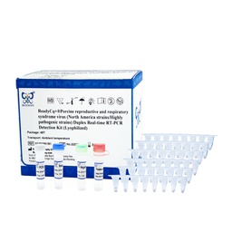 ReadyCq+®Porcine reproductive and respiratory syndrome virus (North America strains/Highly pathogenic strains) Duplex Real-time RT-PCR Detection Kit (Lyophilized)