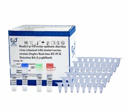 ReadyCq+®Porcine epidemic diarrhea virus (classical wild strains/vaccine strains) Duplex Real-time RT-PCR Detection Kit (Lyophilized)