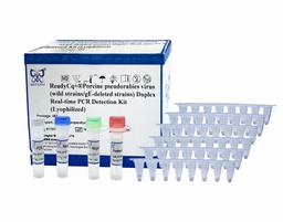 ReadyCq+®Pseudorabies Virus (wild strains/gE-deleted strains) Duplex Real-time PCR Detection Kit (Lyophilized)