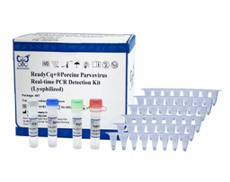 ReadyCq+®Porcine Parvovirus Real-time PCR Detection Kit (Lyophilized)