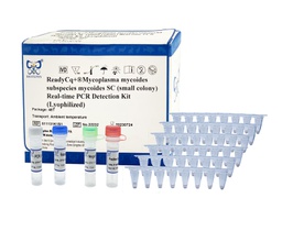 ReadyCq+®Mycoplasma mycoides subspecies mycoides SC (small colony) Real-time PCR Detection Kit  (Lyophilized)