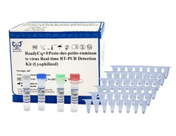 ReadyCq+®小反刍兽疫病毒荧光RT-PCR检测试剂盒（冻干）