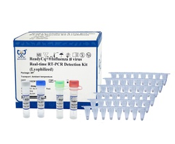 ReadyCq+®乙型流感病毒荧光RT-PCR检测试剂盒（冻干）