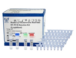 ReadyCq+®Enterovirus Real-time RT-PCR Detection Kit (Lyophilized)