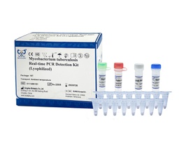ReadyCq+®人乳头瘤病毒荧光PCR检测试剂盒（冻干）