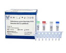 ReadyCq+®幽门螺旋杆菌荧光PCR检测试剂盒(冻干)