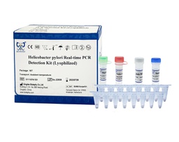 ReadyCq+®Helicobacter pylori Real-time PCR Detection Kit (Lyophilized)