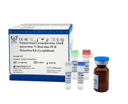 AllReady®Helicobacter pylori Real-time PCR Detection Kit (Lyophilized)